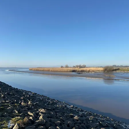 Reetdachkate Am Deich Ferienhaus Seester