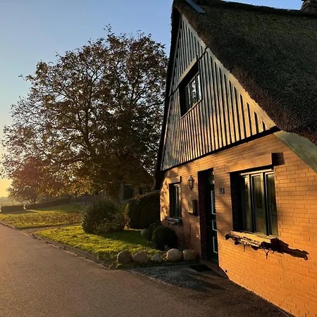 Reetdachkate Am Deich * Seester