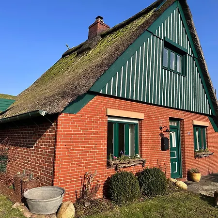 Reetdachkate Am Deich *