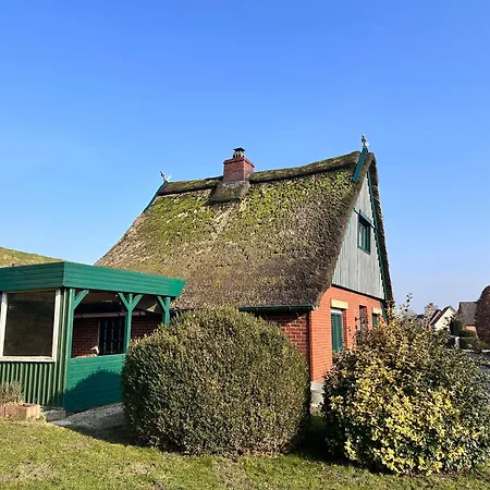 Reetdachkate Am Deich Seester