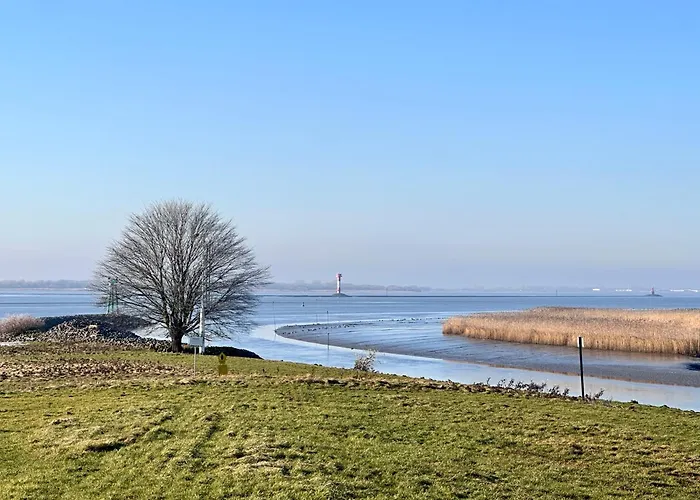 Reetdachkate Am Deich * Seester