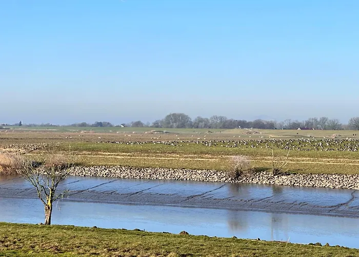 Casa vacanze Reetdachkate Am Deich