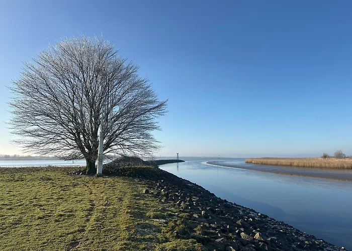 Reetdachkate Am Deich Casa vacanze Seester