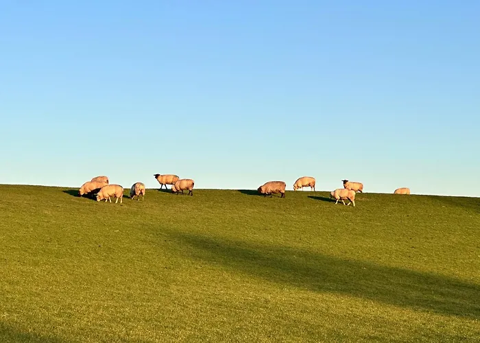 Casa vacanze Reetdachkate Am Deich Seester