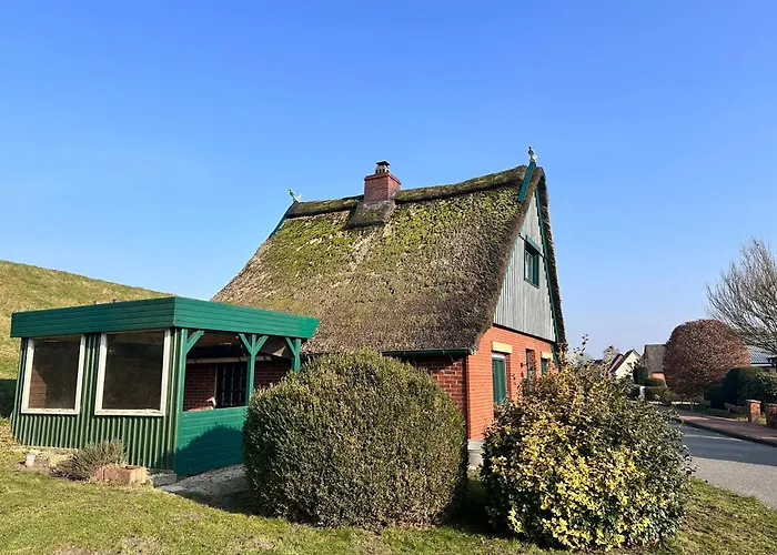 Reetdachkate Am Deich Seester